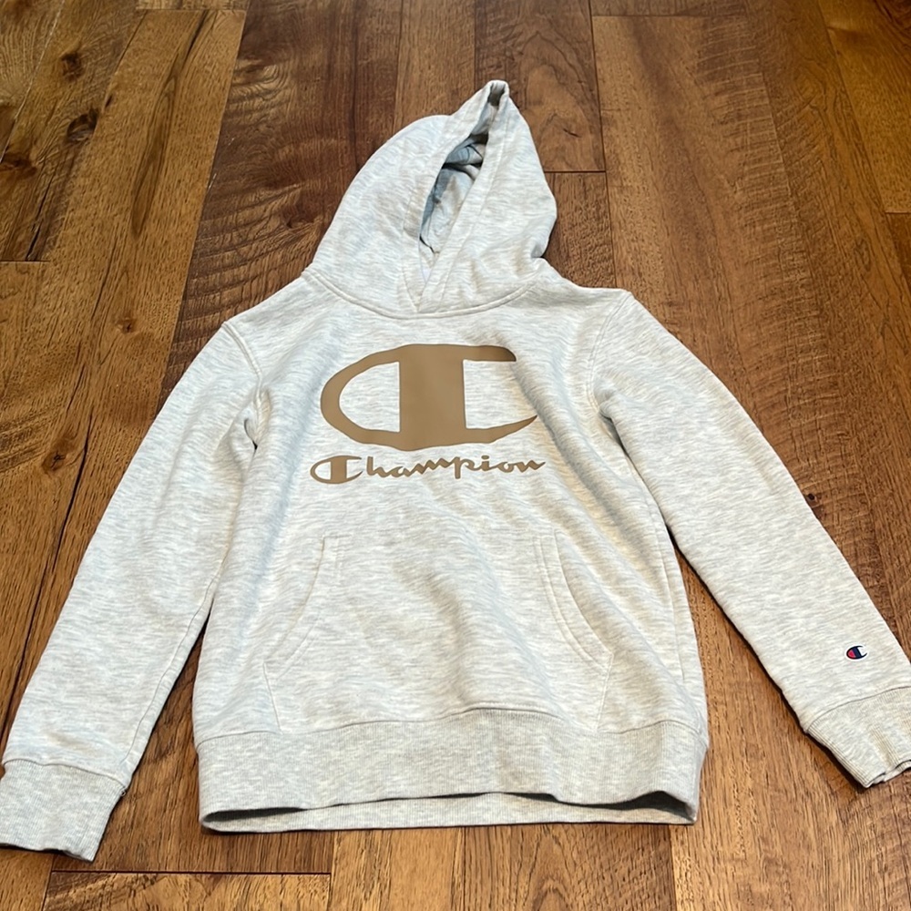 Champion Boy’s Grey Hoodie Size M (10)